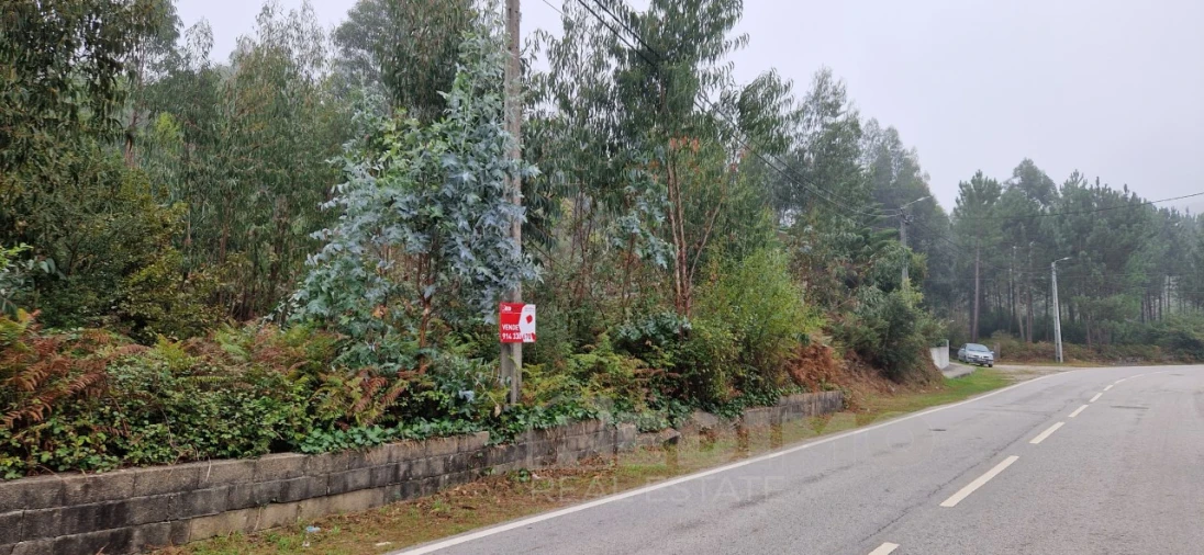 Terreno Misto para Venda em Canedo, Vale e Vila Maior Foto 5