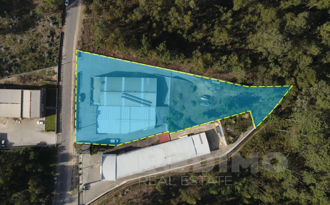 Armazém para Venda em Nogueira do Cravo e Pindelo Foto 24