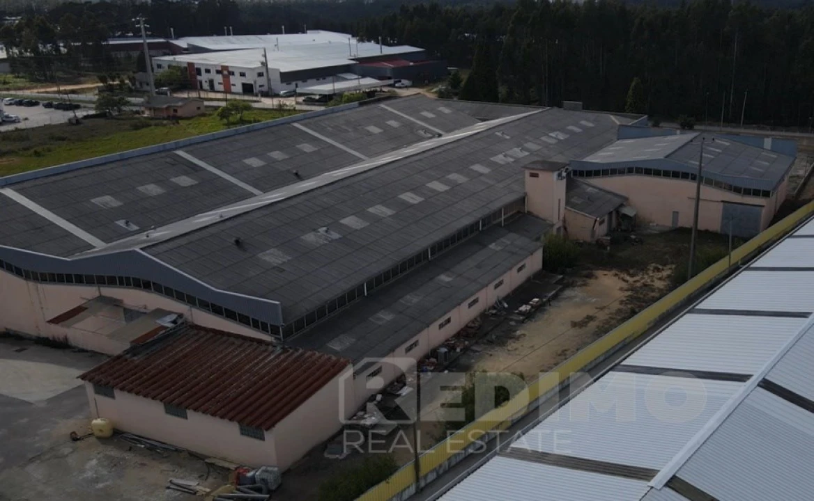 Armazém para Venda em Águeda e Borralha Foto 6