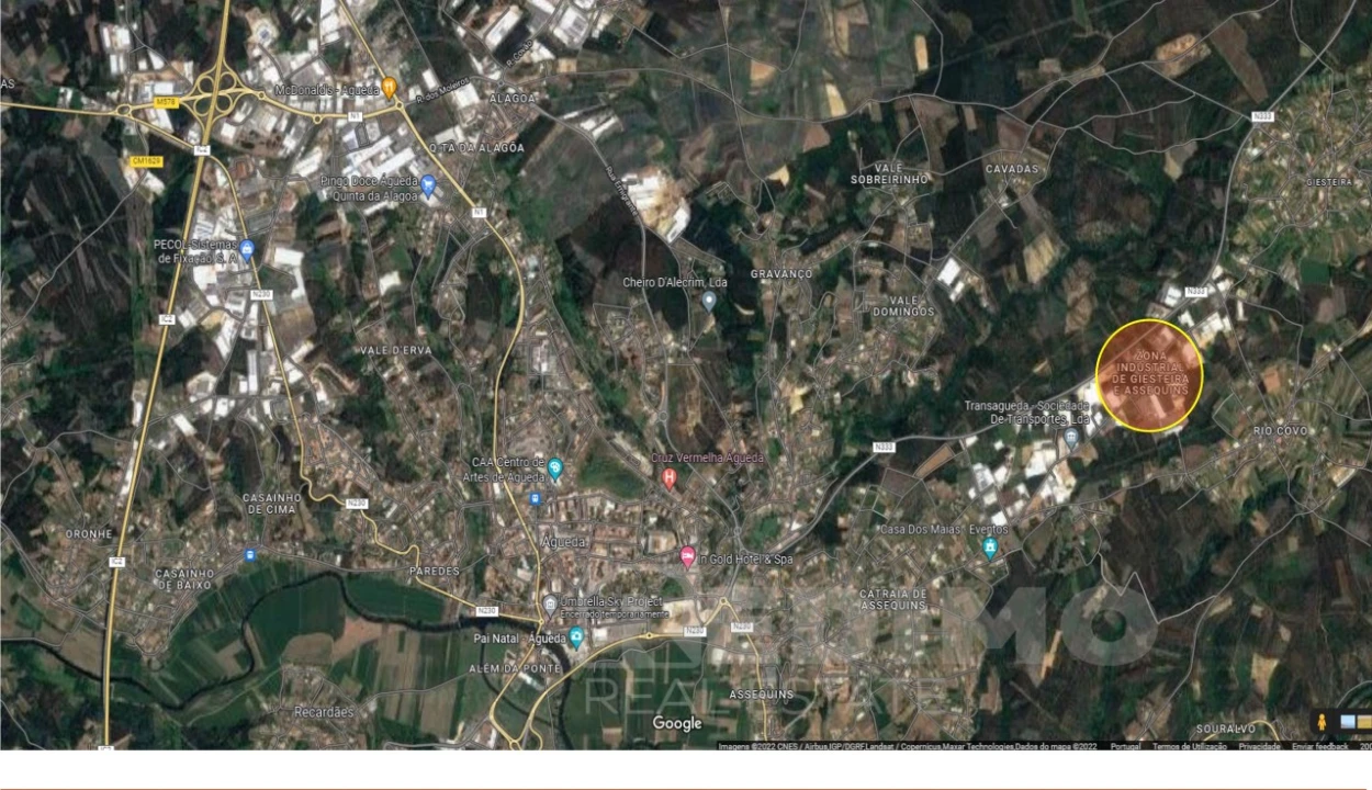 Armazém para Venda em Águeda e Borralha Foto 20