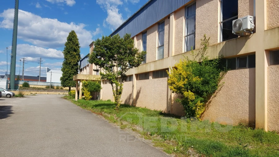 Armazém para Venda em Águeda e Borralha Foto 2