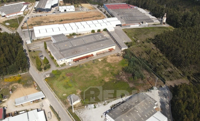 Armazém para Venda em Águeda e Borralha Foto 16