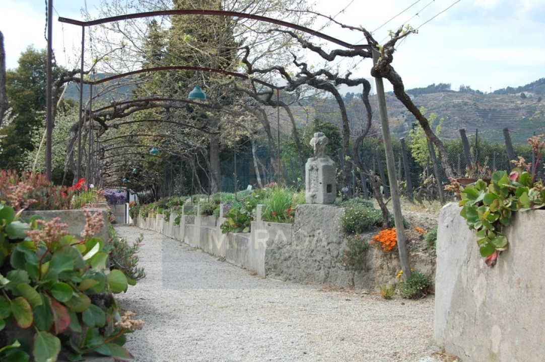 Quinta para Venda em Cumieira Foto 4