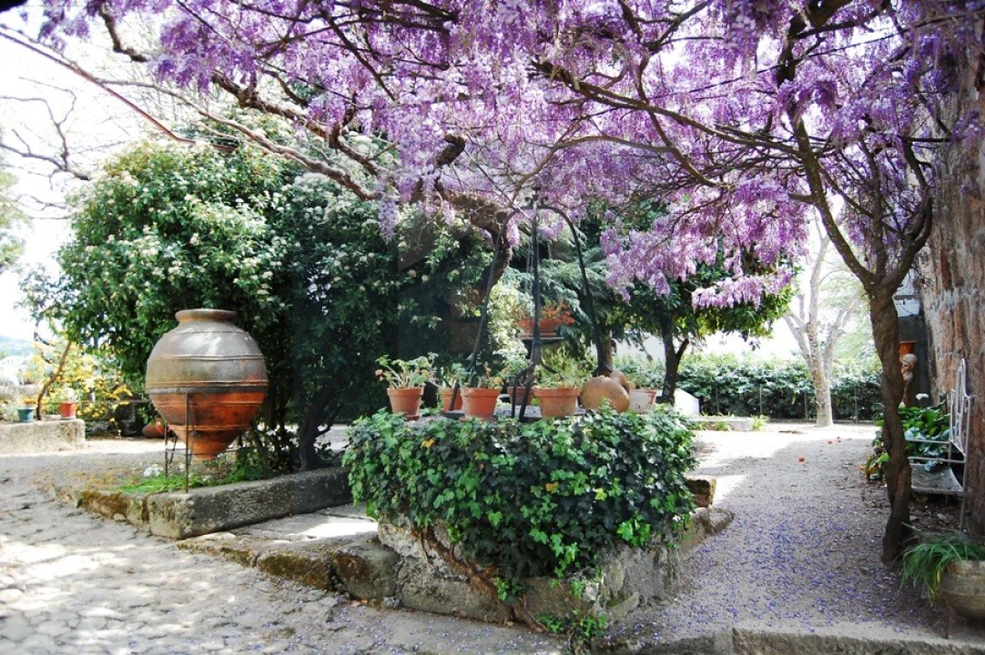 Quinta para Venda em Cumieira Foto 5