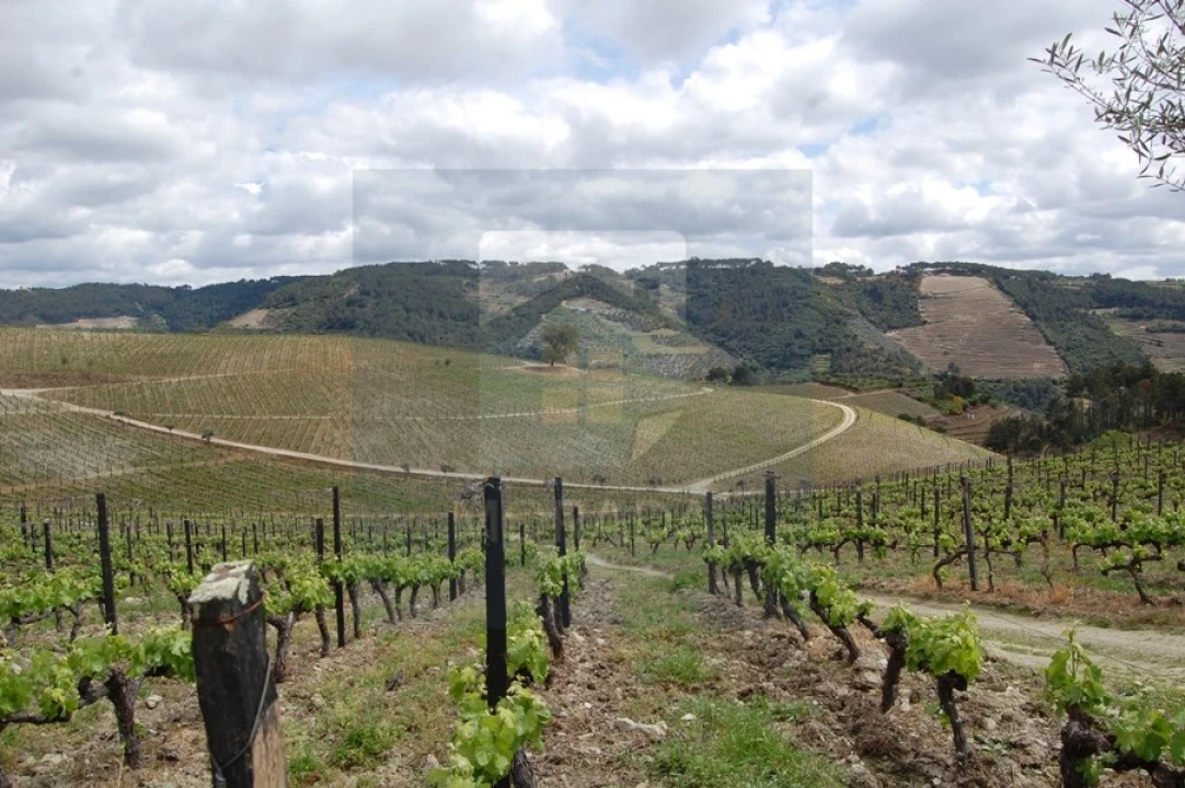 Quinta para Venda em Cumieira Foto 2