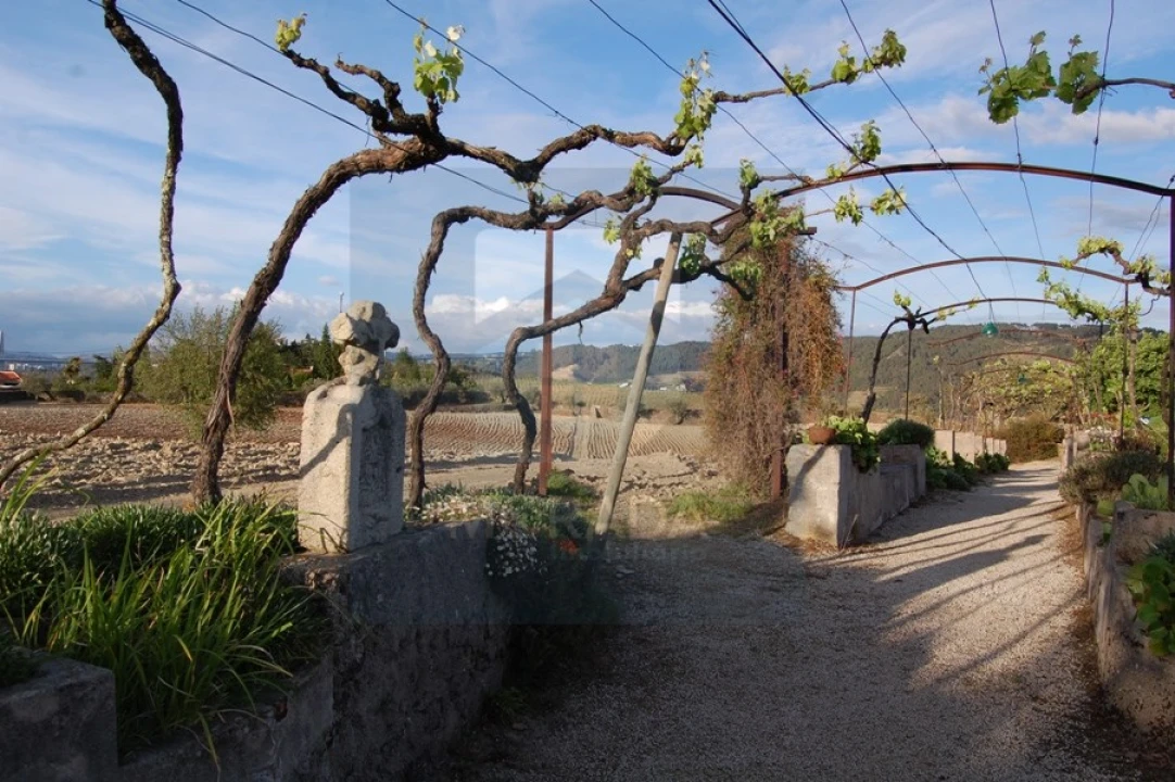 Quinta para Venda em Cumieira Foto 13