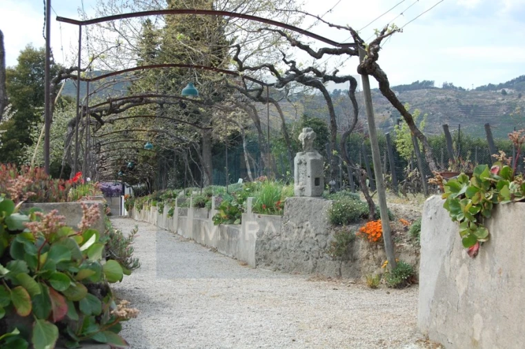 Quinta para Venda em Cumieira Foto 4