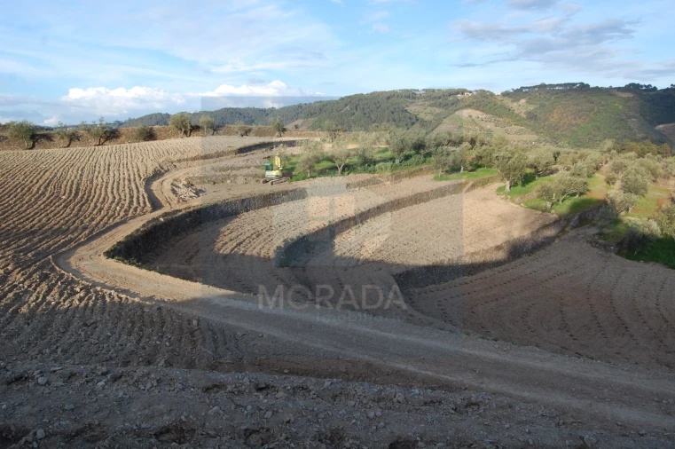 Quinta para Venda em Cumieira Foto 9