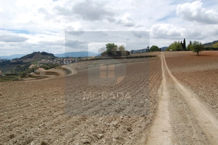 Quinta para Venda em Cumieira Foto 12