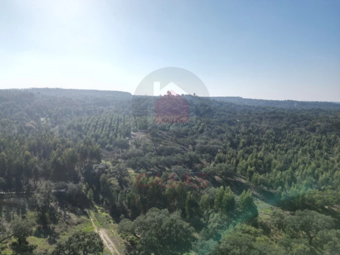 Quinta T5 para Venda em Raposa Foto 7