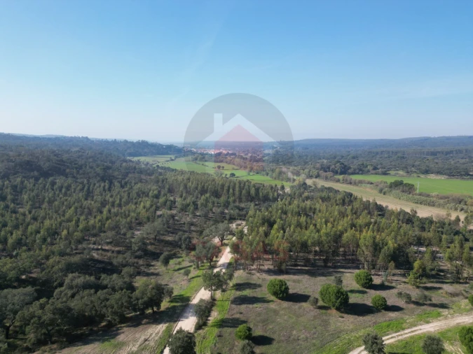 Quinta T5 para Venda em Raposa Foto 8