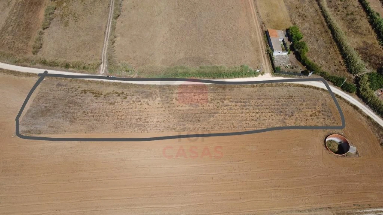 Terreno para Venda em Atouguia da Baleia Foto 7