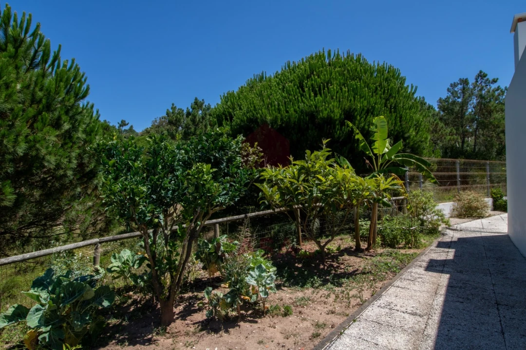 Moradia T4 para Venda em Foz do Arelho Foto 28