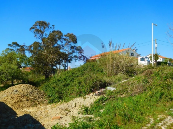 Terreno para Venda em Nadadouro Foto 4