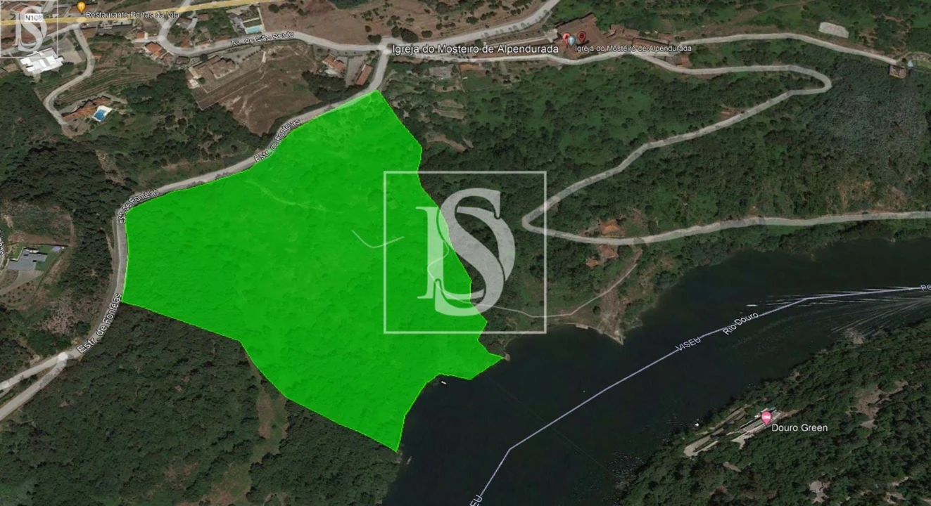 Quinta para Venda em Alpendorada, Várzea e Torrão Foto 1