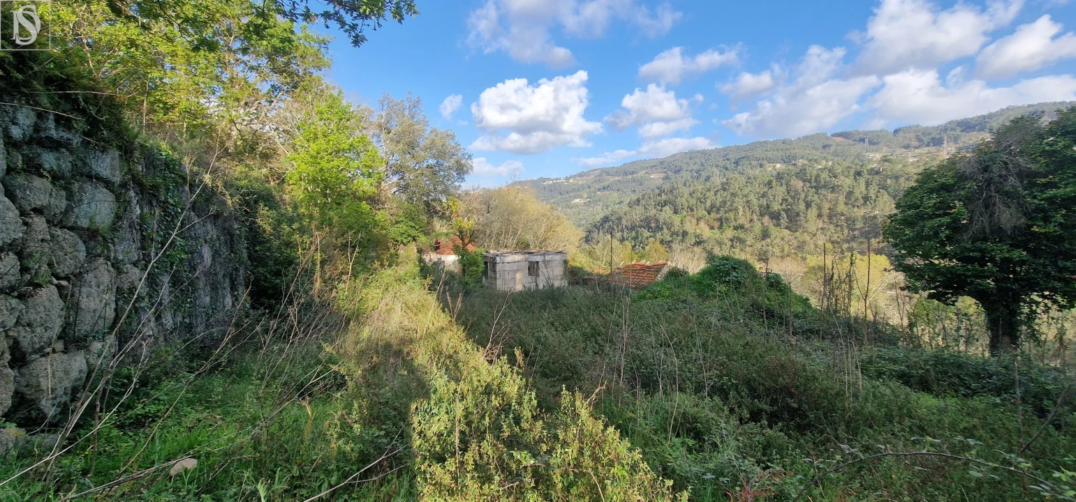 Quinta para Venda em Alpendorada, Várzea e Torrão Foto 14