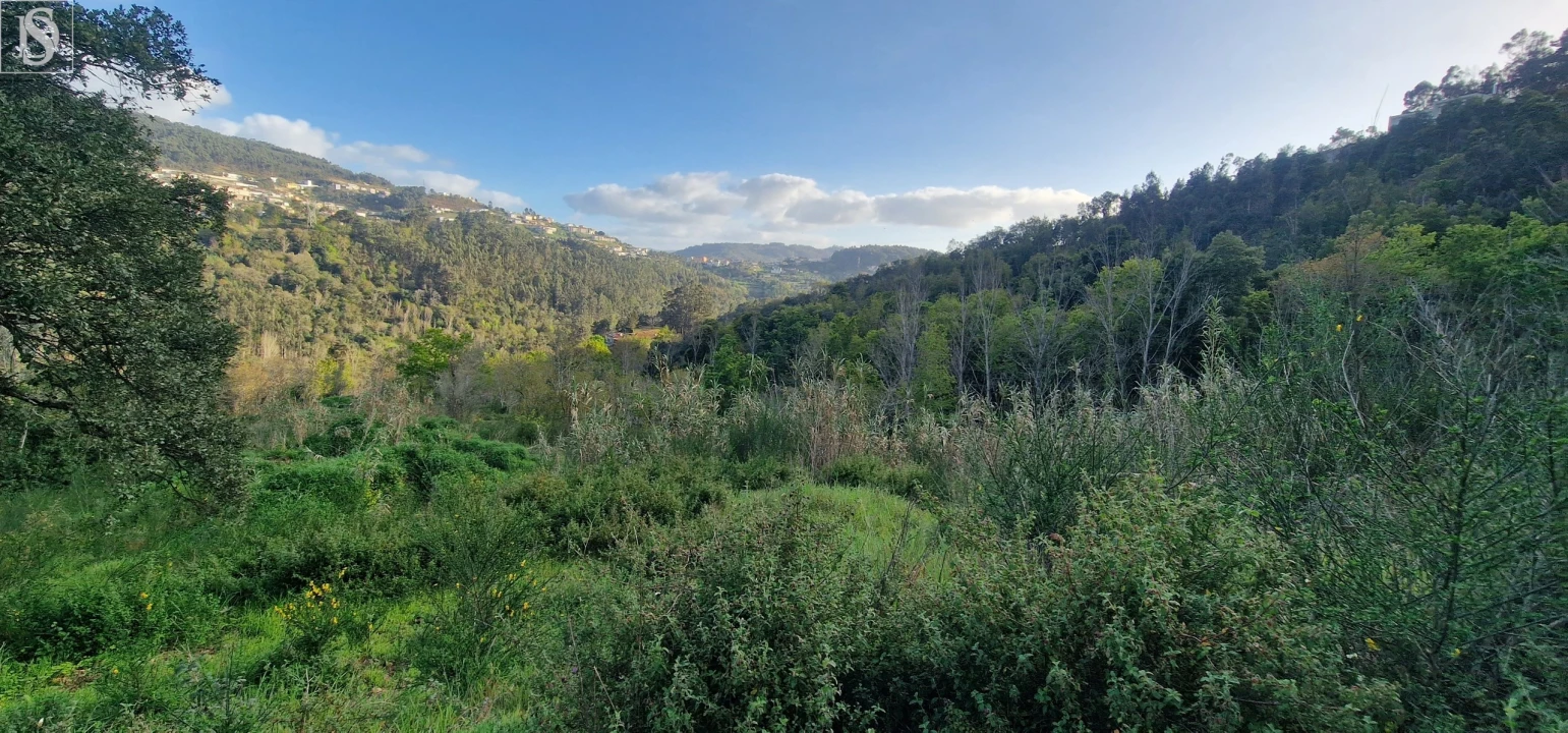 Quinta para Venda em Alpendorada, Várzea e Torrão Foto 9