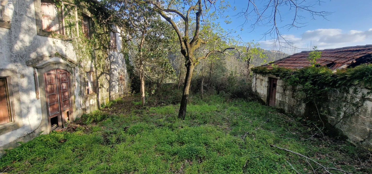 Quinta para Venda em Alpendorada, Várzea e Torrão Foto 11