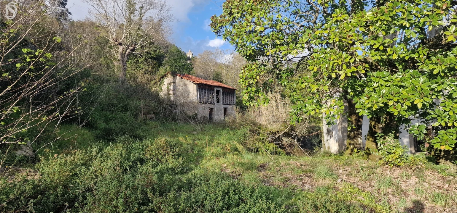 Quinta para Venda em Alpendorada, Várzea e Torrão Foto 4