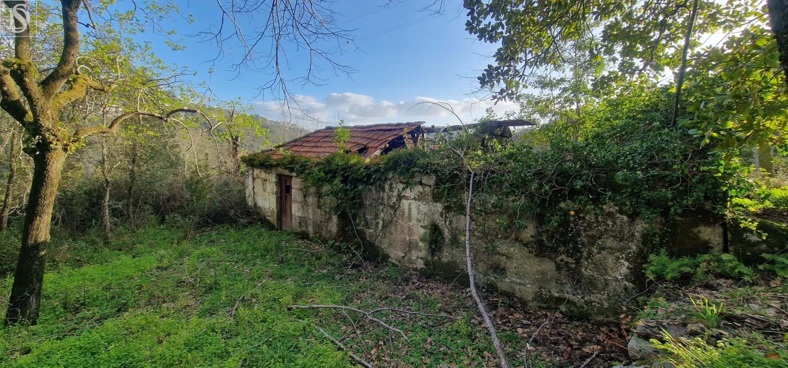 Quinta para Venda em Alpendorada, Várzea e Torrão Foto 12