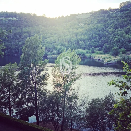 Quinta para Venda em Alpendorada, Várzea e Torrão Foto 5