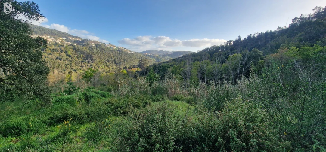 Quinta para Venda em Alpendorada, Várzea e Torrão Foto 9