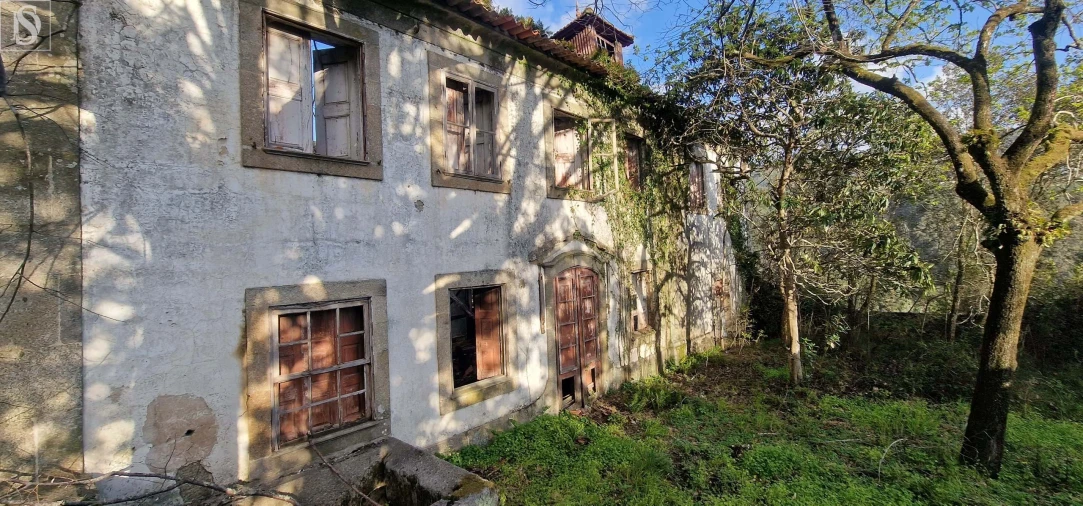 Quinta para Venda em Alpendorada, Várzea e Torrão Foto 3