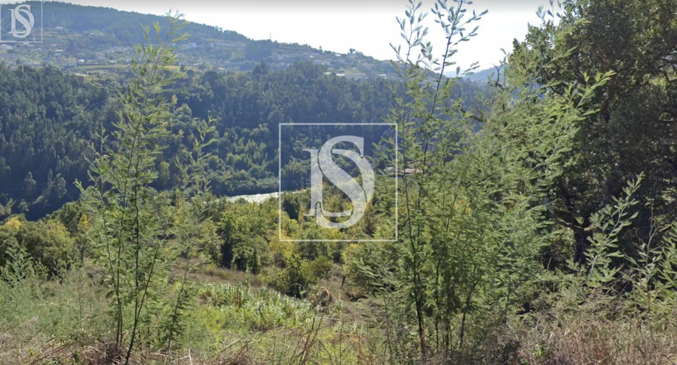 Quinta para Venda em Alpendorada, Várzea e Torrão Foto 6