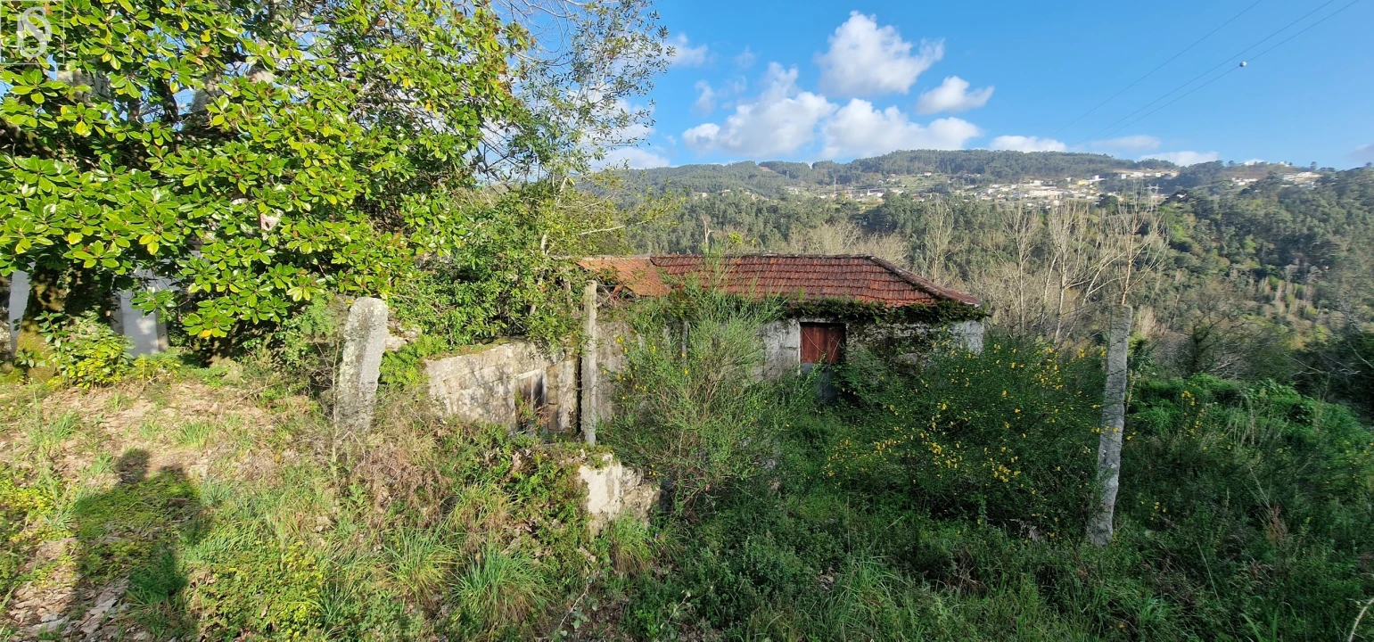 Quinta para Venda em Alpendorada, Várzea e Torrão Foto 10
