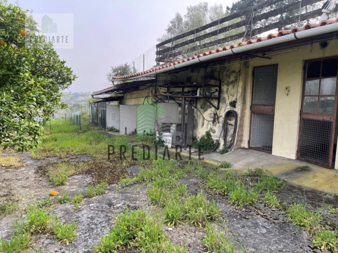 Moradia T4 para Venda em Oliveira do Douro Foto 38