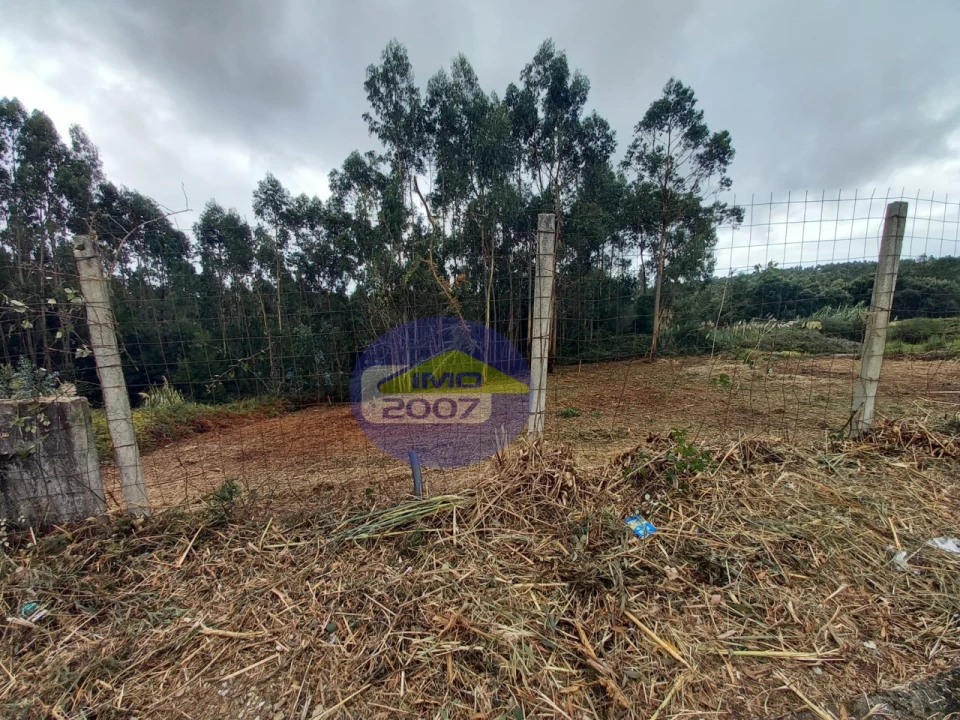 Terreno para Venda em Santa Maria da Feira, Travanca, Sanfins e Espargo Foto 2