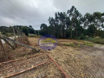 Terreno para Venda em Santa Maria da Feira, Travanca, Sanfins e Espargo