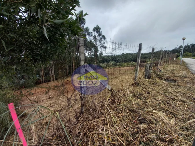 Terreno para Venda em Santa Maria da Feira, Travanca, Sanfins e Espargo Foto 5