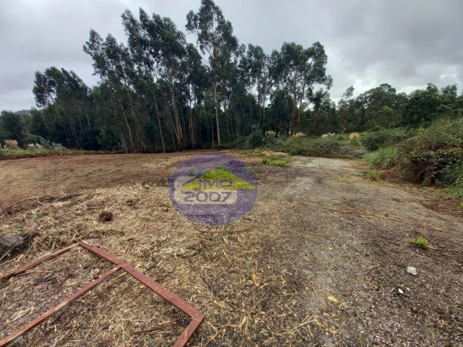Terreno para Venda em Santa Maria da Feira, Travanca, Sanfins e Espargo Foto 6