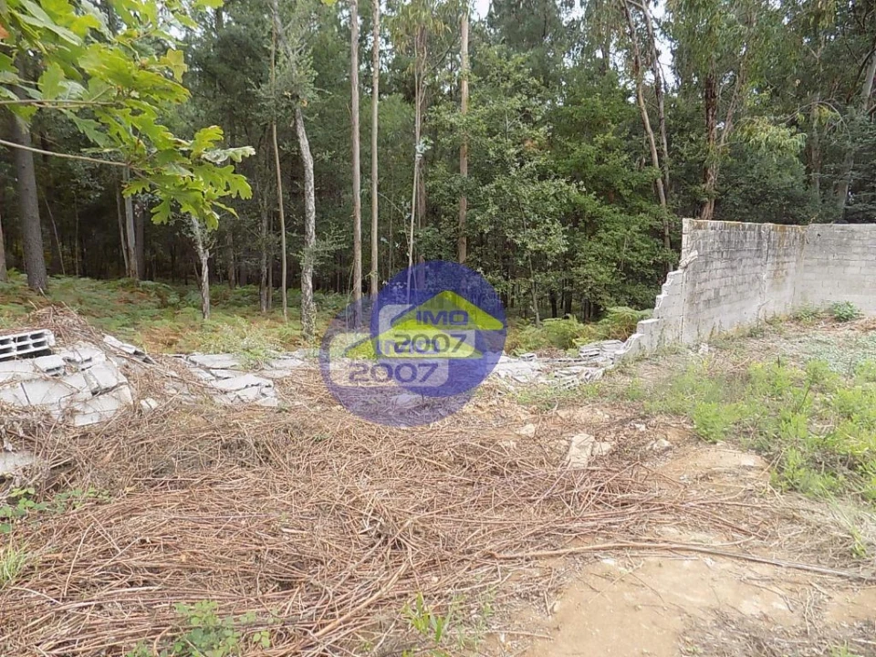 Terreno para Venda em Lourosa Foto 14