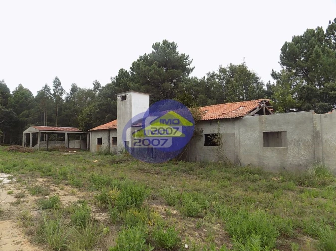 Terreno para Venda em Lourosa Foto 10