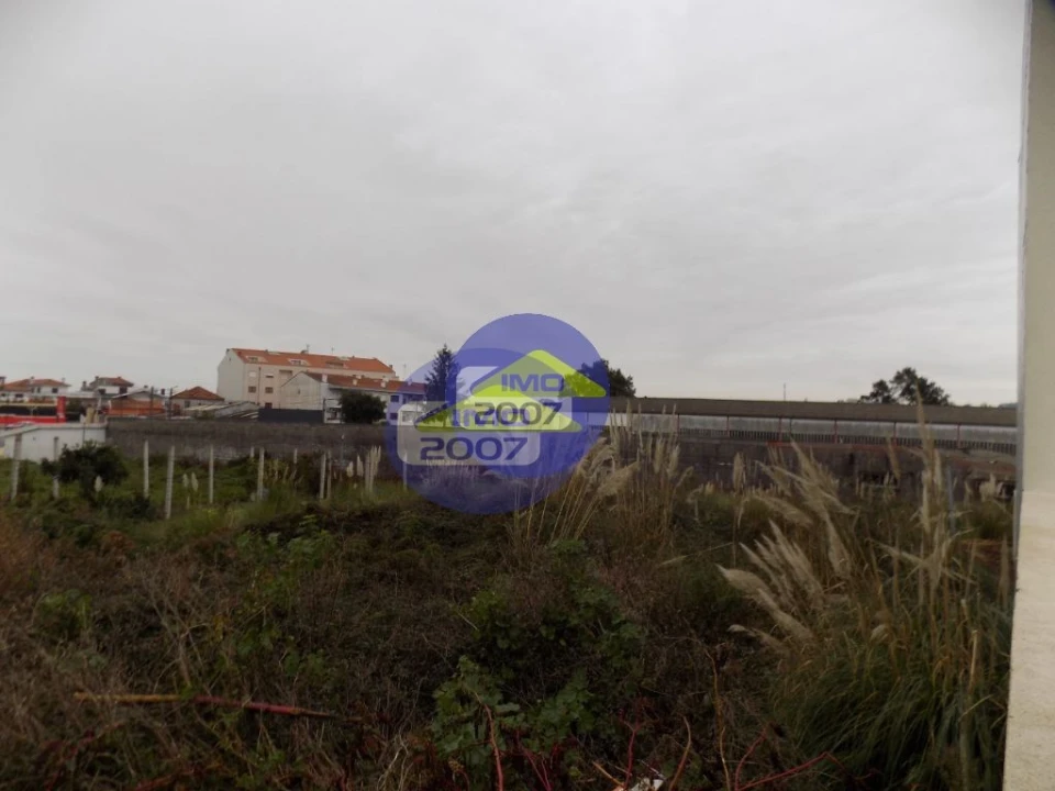 Terreno para Venda em Santa Maria de Lamas Foto 6