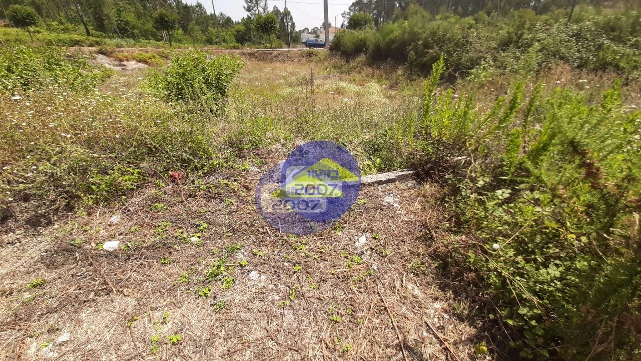 Terreno para Venda em Fajões Foto 9