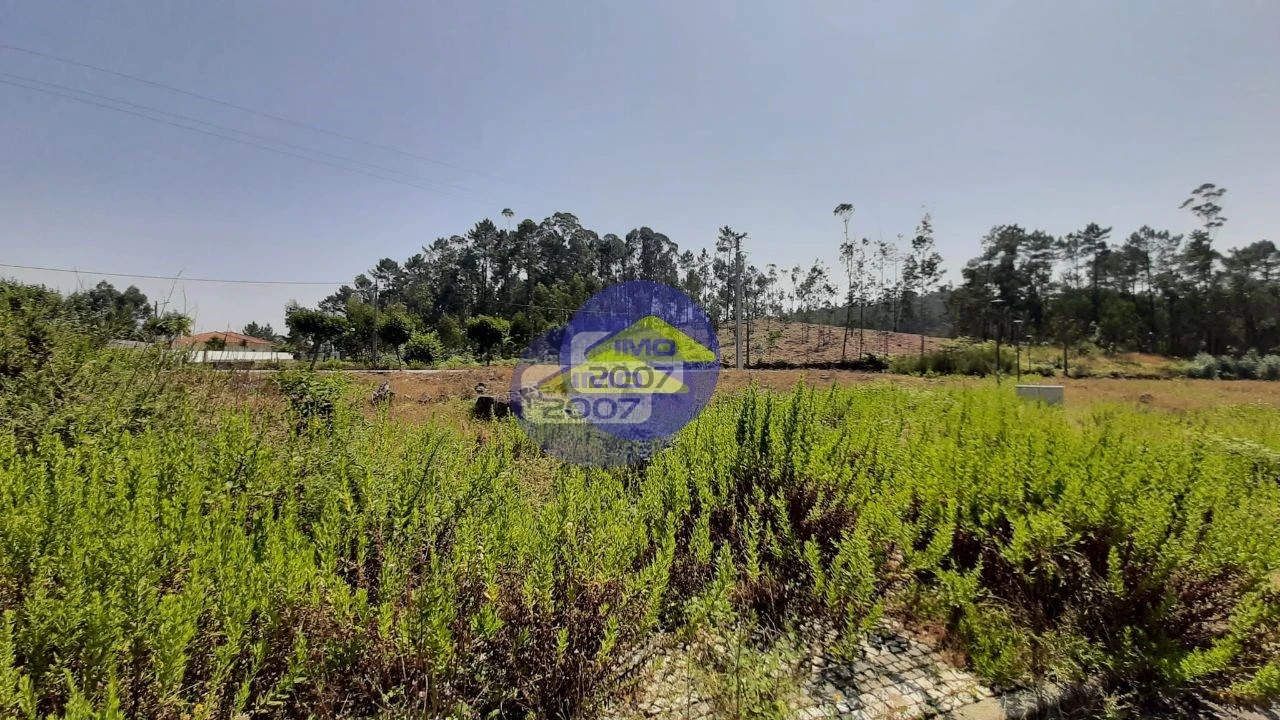 Terreno para Venda em Fajões Foto 13