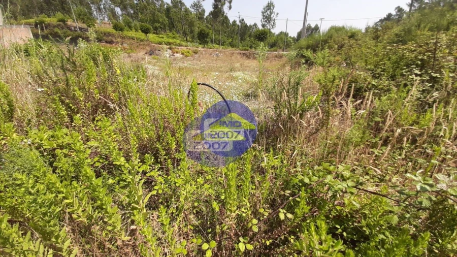 Terreno para Venda em Fajões Foto 12
