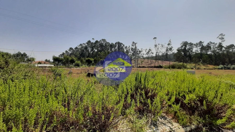 Terreno para Venda em Fajões Foto 13