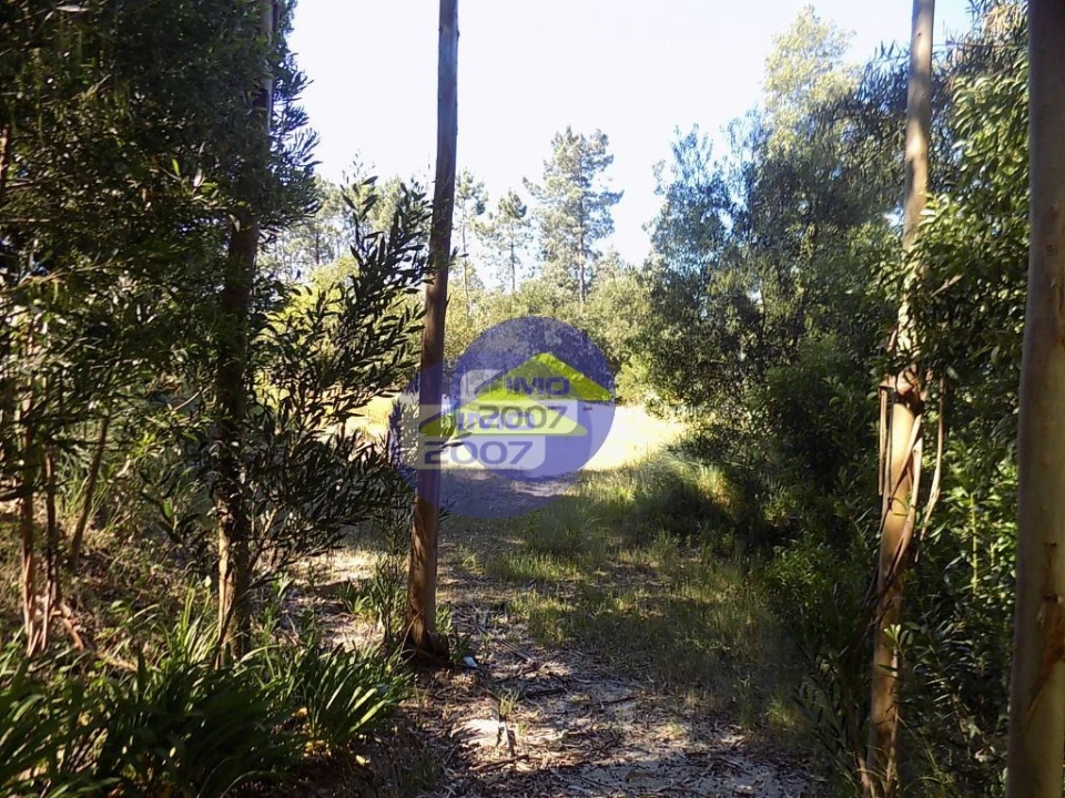 Terreno para Venda em Rio Meão Foto 6