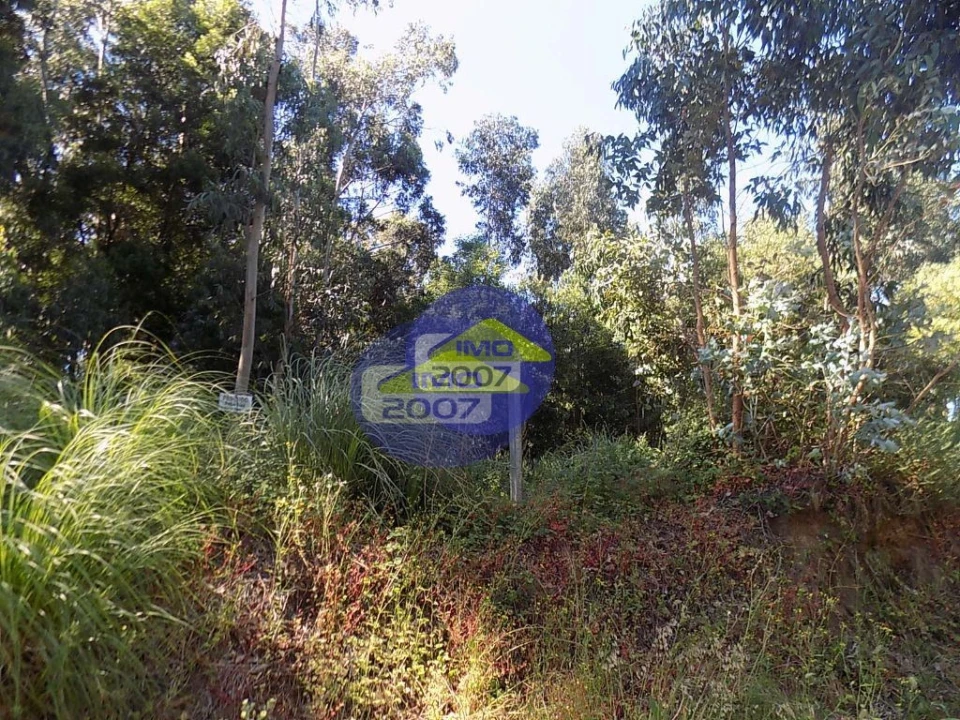 Terreno para Venda em Rio Meão Foto 8