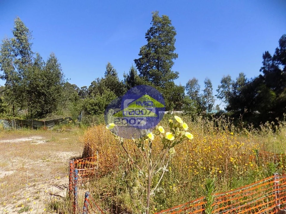 Terreno para Venda em Rio Meão Foto 11