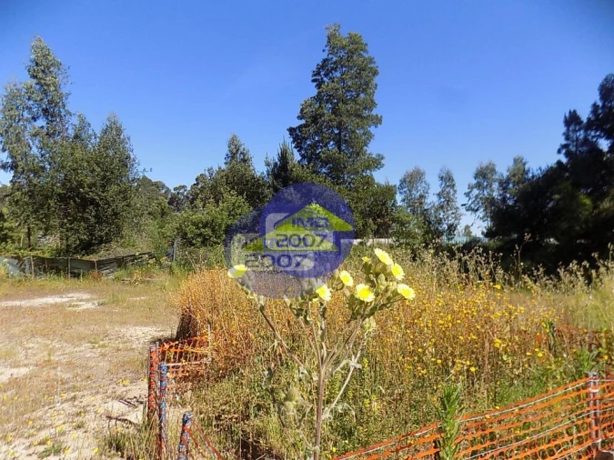 Terreno para Venda em Rio Meão Foto 11