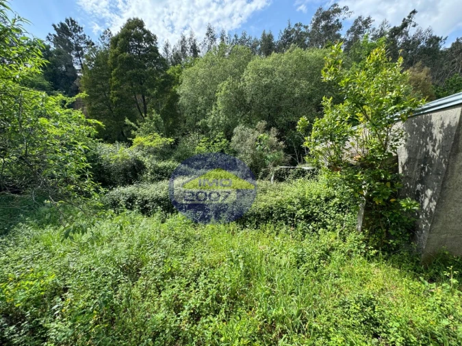 Moradia T5 para Venda em Carregosa Foto 6