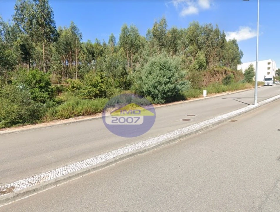 Terreno Agricola ou Rústico para Venda em São João da Madeira Foto 6