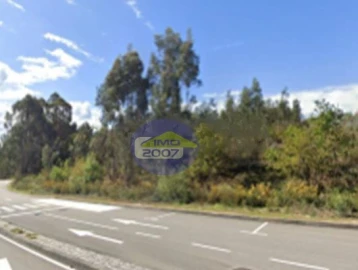 Terreno Agricola ou Rústico para Venda em São João da Madeira