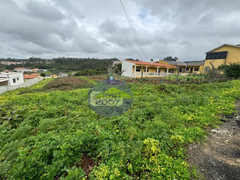 Terreno para Venda em Nogueira da Regedoura Foto 13