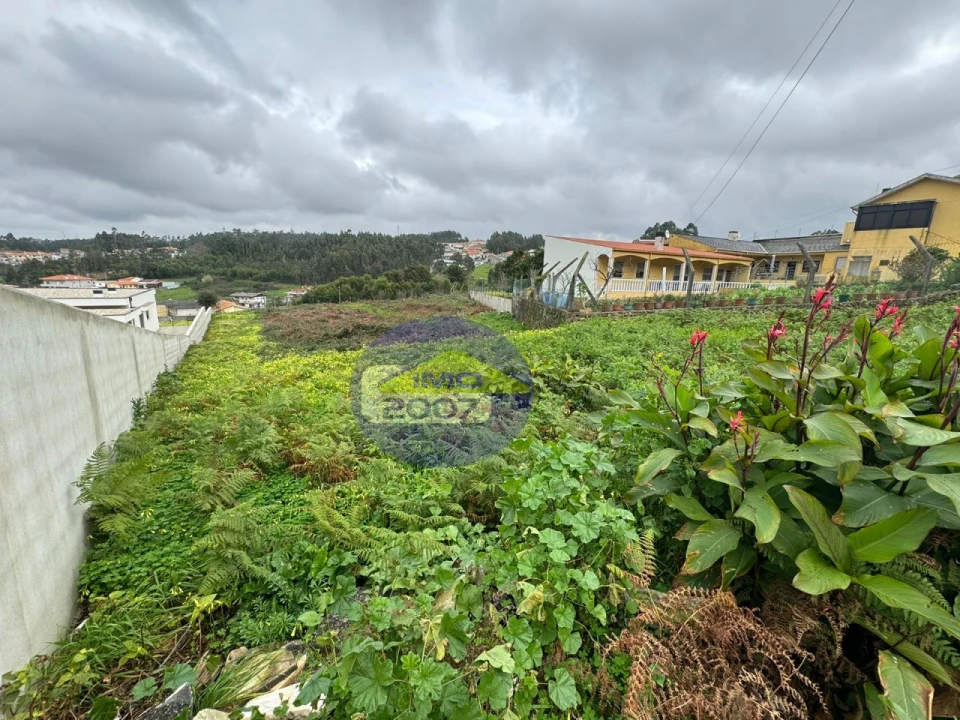 Terreno para Venda em Nogueira da Regedoura Foto 16